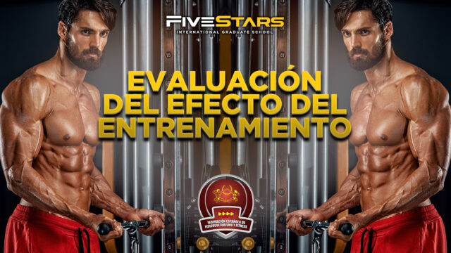 Lee más sobre el artículo EVALUACIÓN DEL EFECTO DEL ENTRENAMIENTO