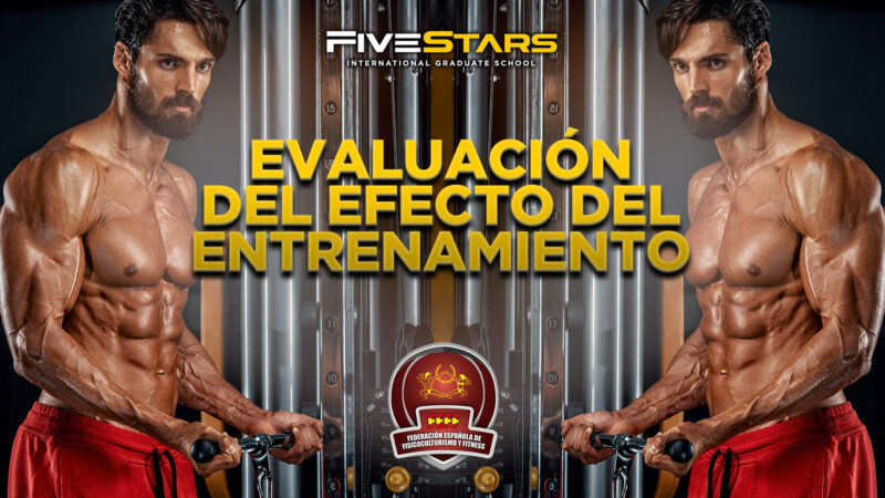 Lee más sobre el artículo EVALUACIÓN DEL EFECTO DEL ENTRENAMIENTO