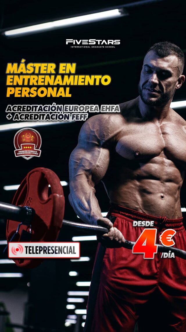 Lee más sobre el artículo ⭕ MÁSTER EN ENTRENAMIENTO PERSONAL ⭕