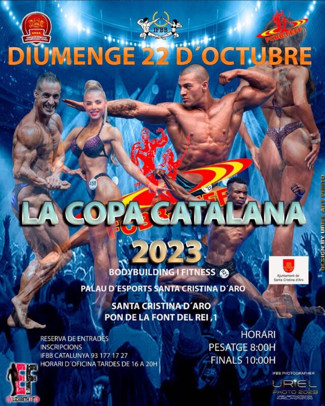 Lee más sobre el artículo BECAS TERRITORIAL CATALANA FCBB-FEFF